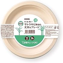 NA　新品　未使用品　DIBBERN ディバーン　プレート 皿　2枚セット NA様専用 新品 未使用品 DIBBERN ディバーン プレート 皿 2枚